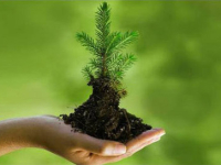 FTFE Expedition: Going Green